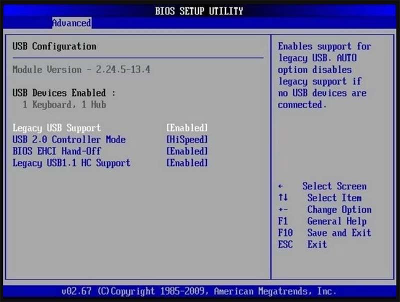 Enable Legacy USB Support in BIOS