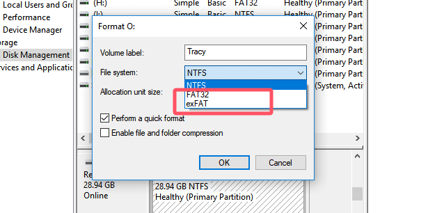 Choose the File System