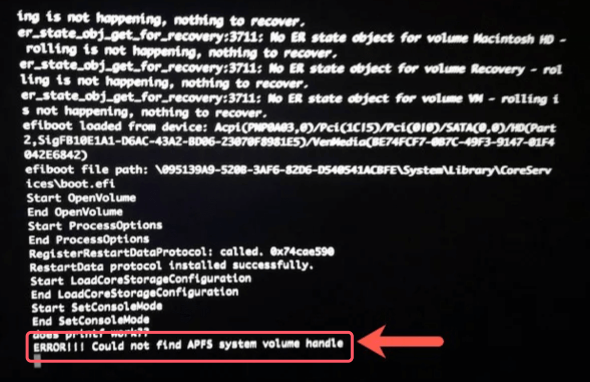 Could Not Find APFS System Volume Handle Error