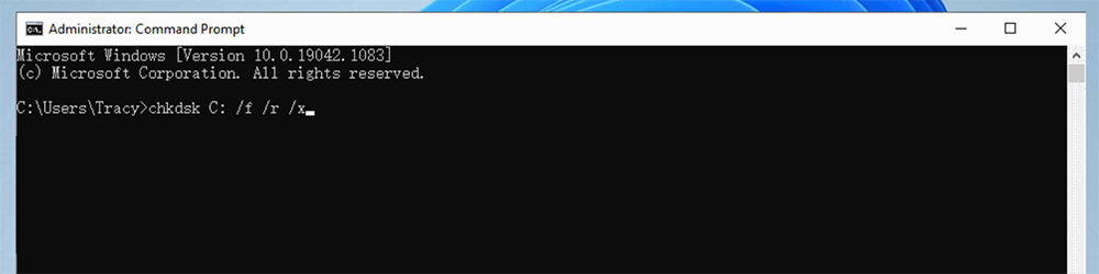 Enter the subsequent command