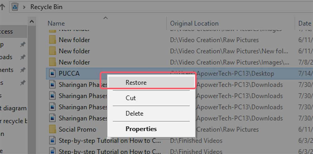 Check the Recycle Bin