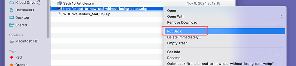 Check the Recycle Bin