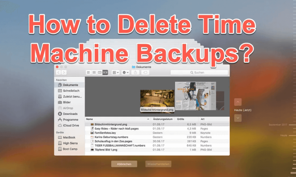 deleting old Time Machine backups