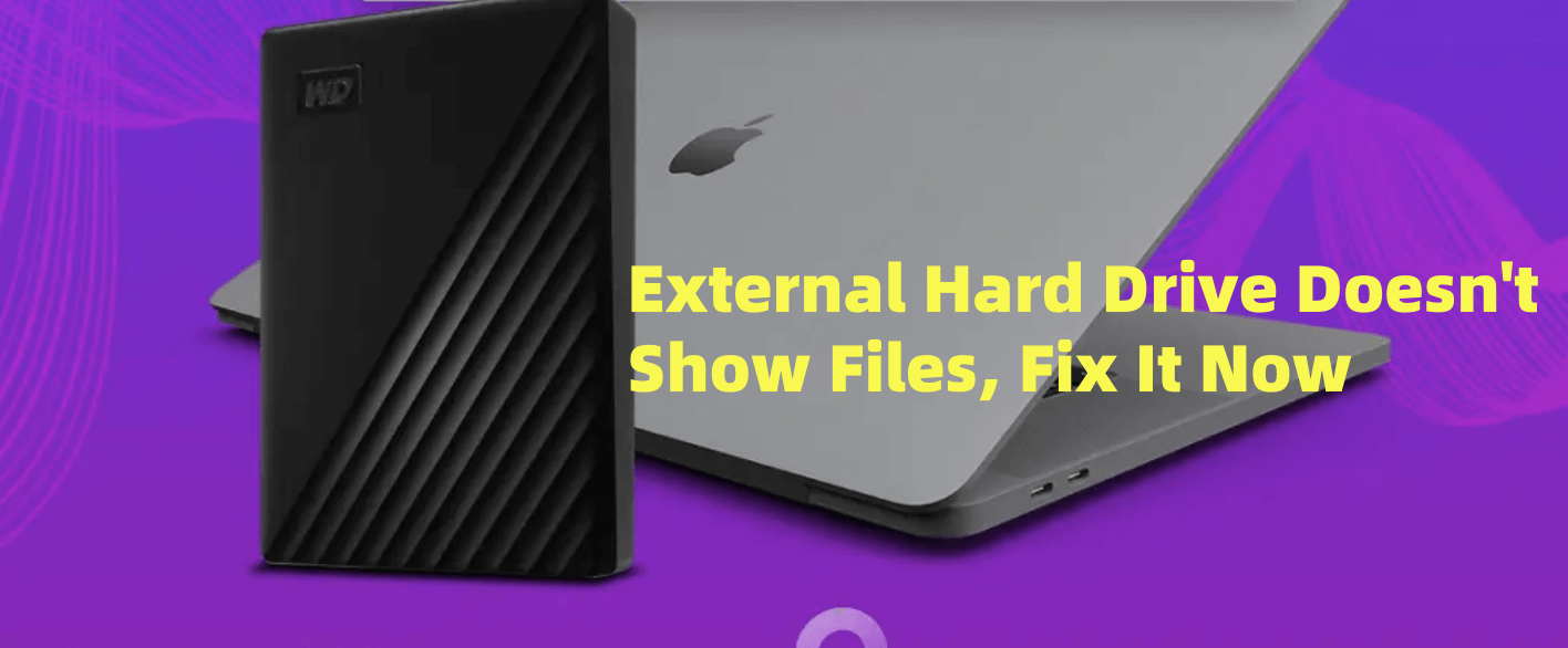 External Hard Drive Doesn't Show Any File on Mac