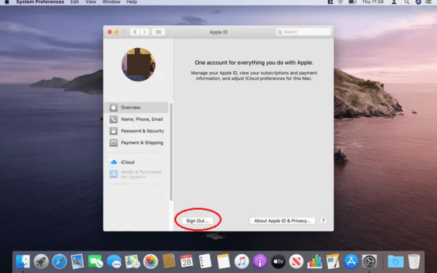 Factory Reset macOS Catalina