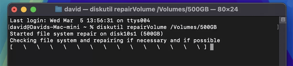 Use Terminal to Repair the Disk