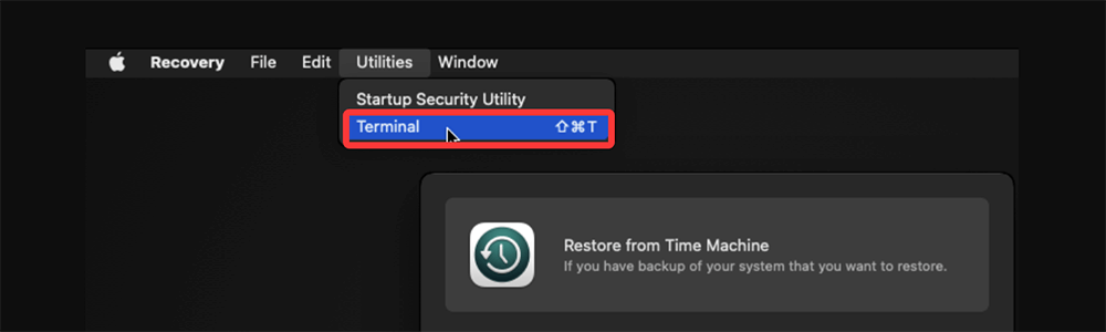 Use Terminal in Recovery Mode