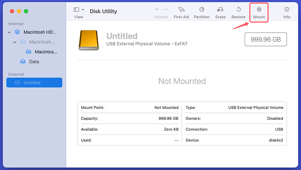 Mount the Drive Manually