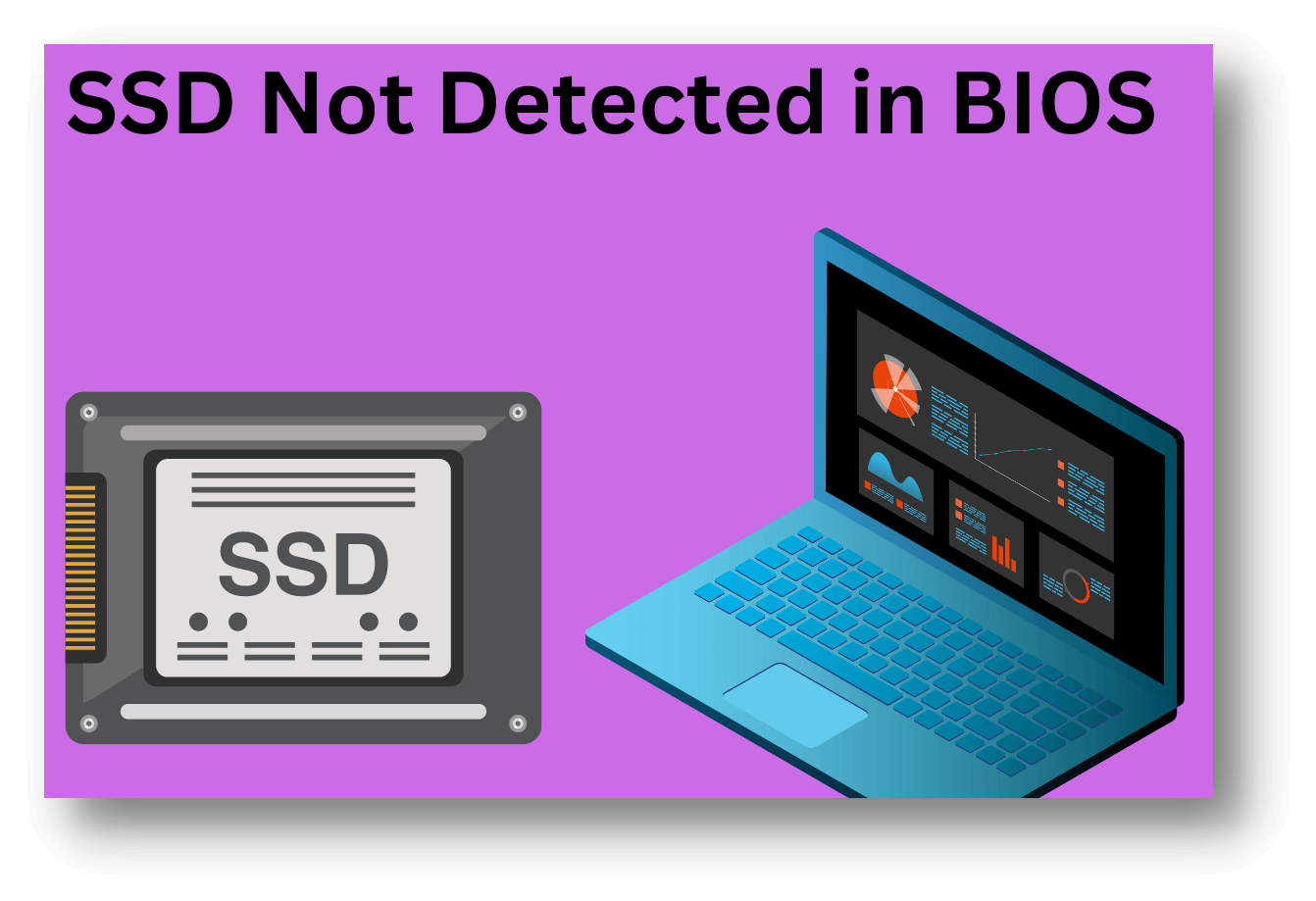 Fix SSD Not Detected in BIOS in Simple Steps [2024 Full Guide]