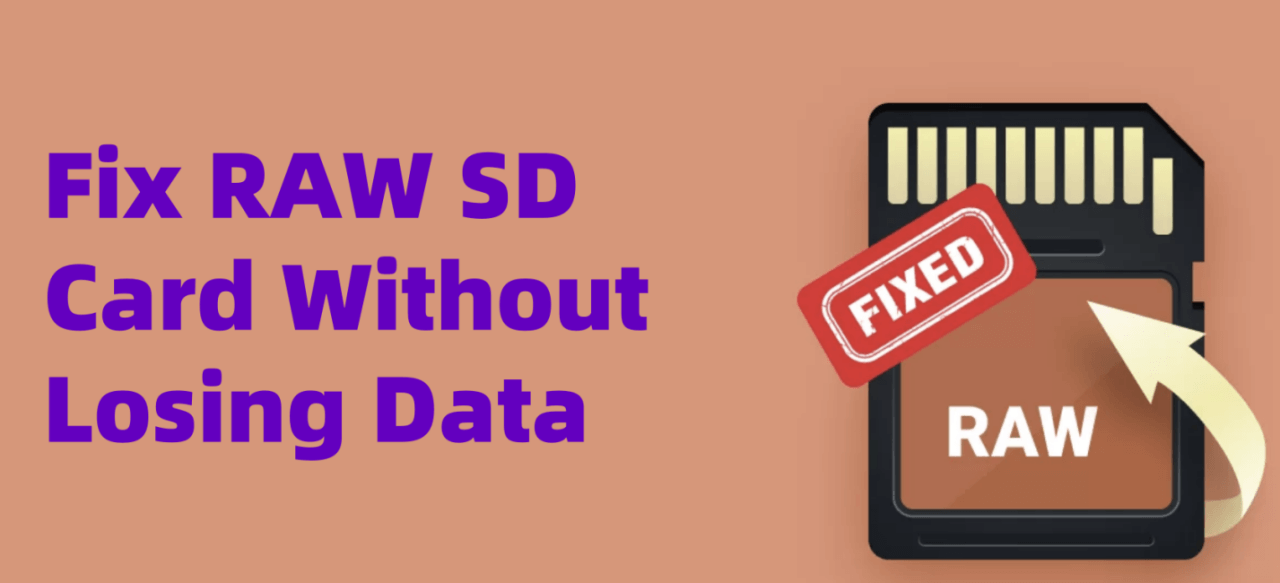 Fix a RAW SD card