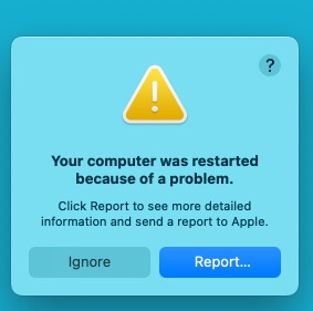 Your computer was restarted because of a problem