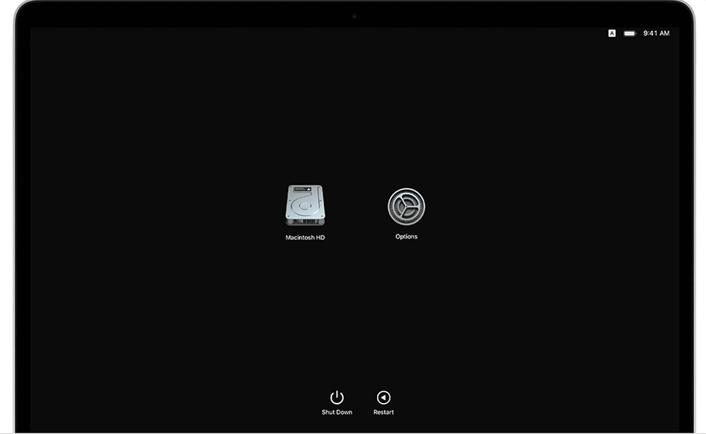 Boot Into Recovery Mode