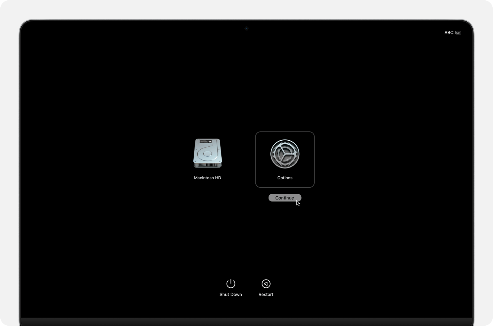 Boot into Recovery Mode