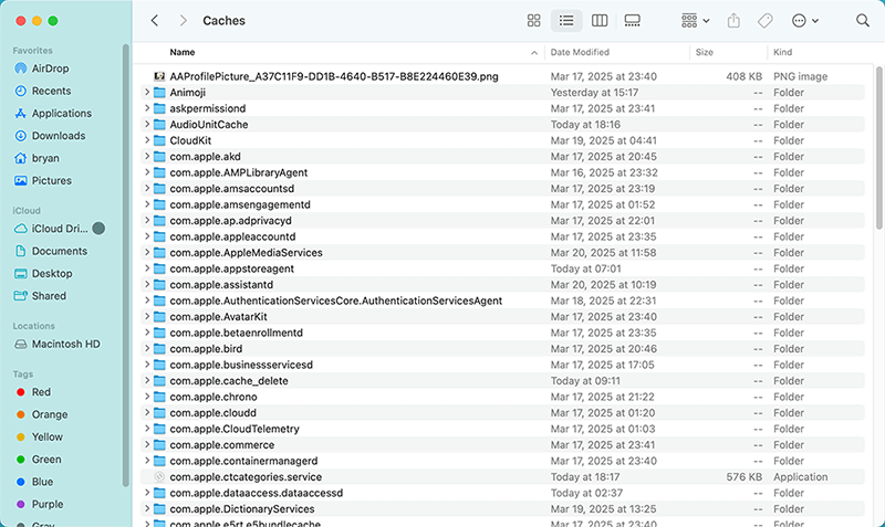 Recovering from Application Cache