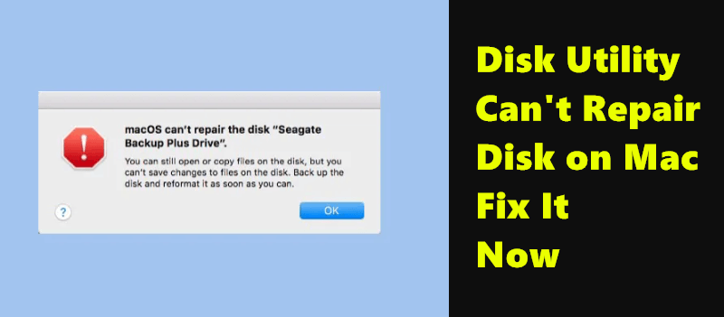 Disk Utility cannot repair disk