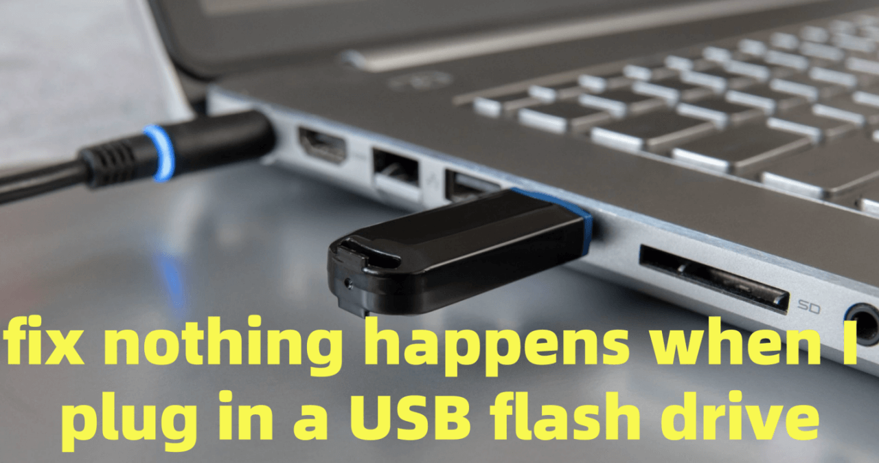 Fix Nothing Happens When Plugging in a USB Flash Drive