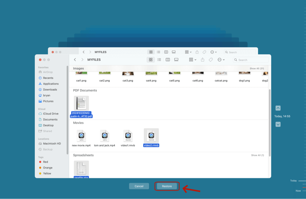 recover deleted documents