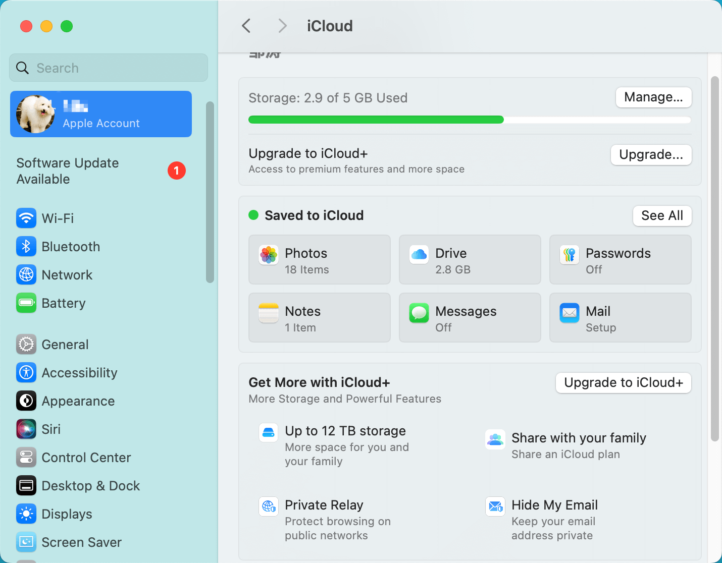 Recover Lost Files After macOS Update