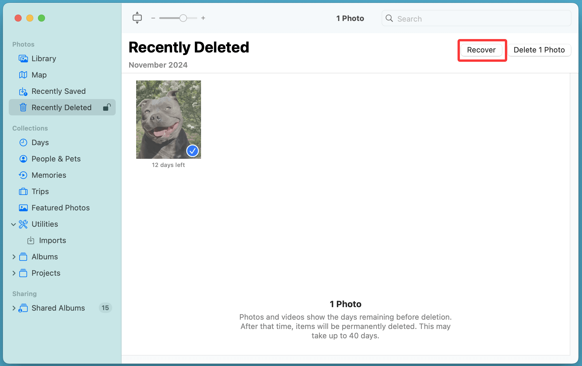 Recovering photos from iCloud on a Mac