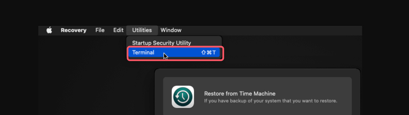 The calling process or user lacks the proper privileges to perform