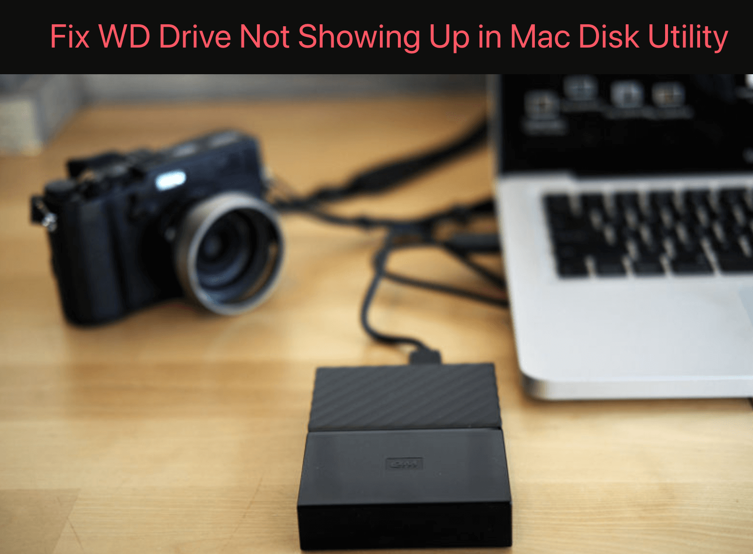 Fix WD External Hard Drive Not Showing Up in Disk Utility on Mac