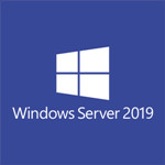 Windows Server 2019 Data Recovery Solution