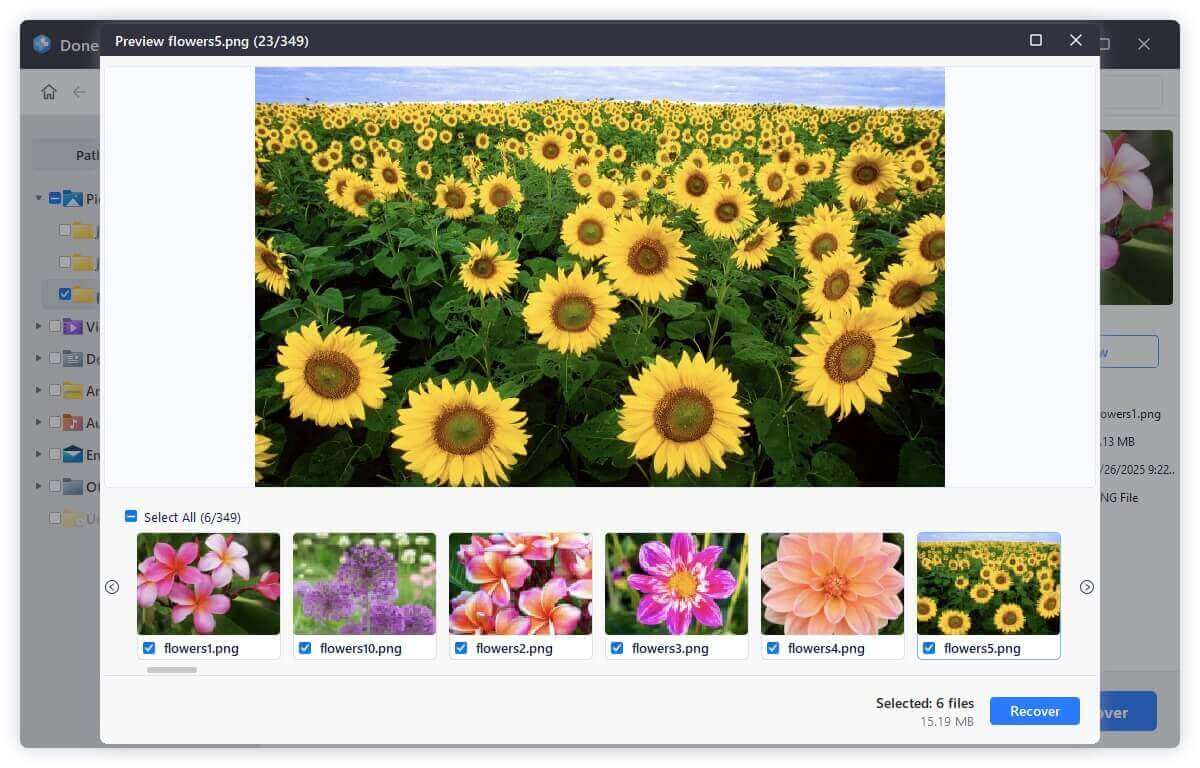 Preview Recoverable Files