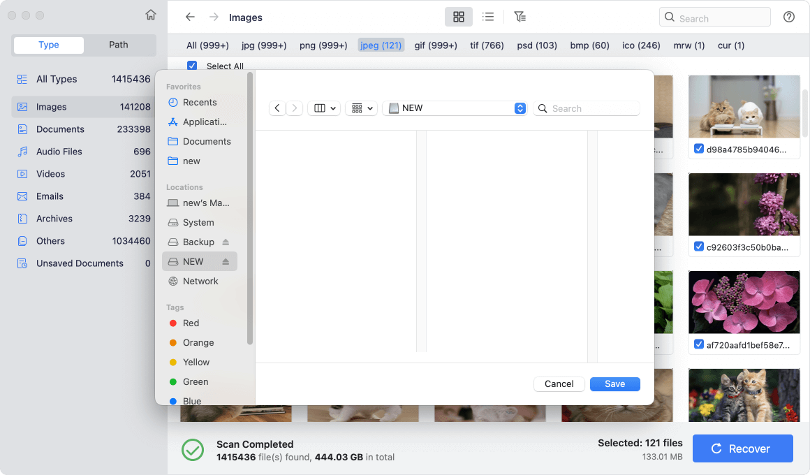 Preview and Restore the Files