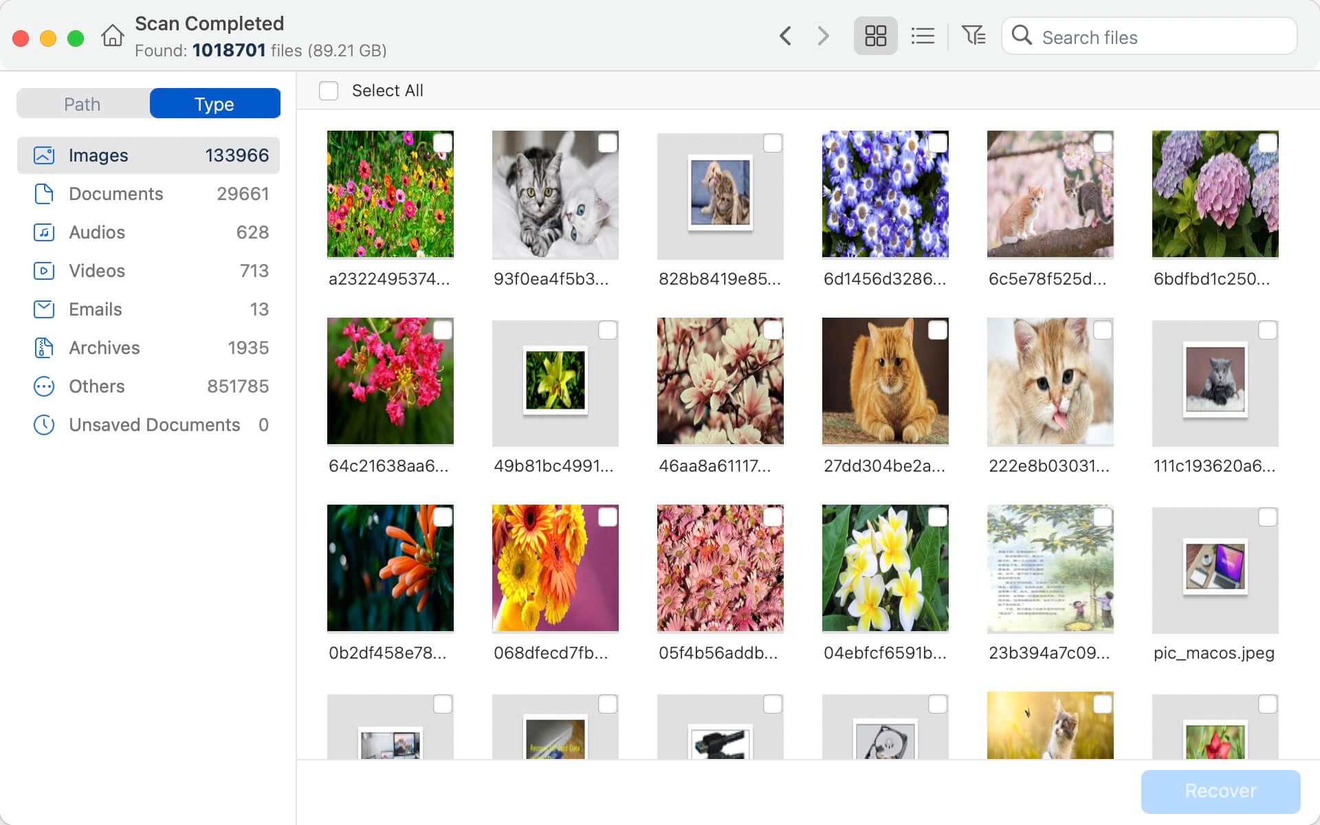 Preview the lost files on Mac