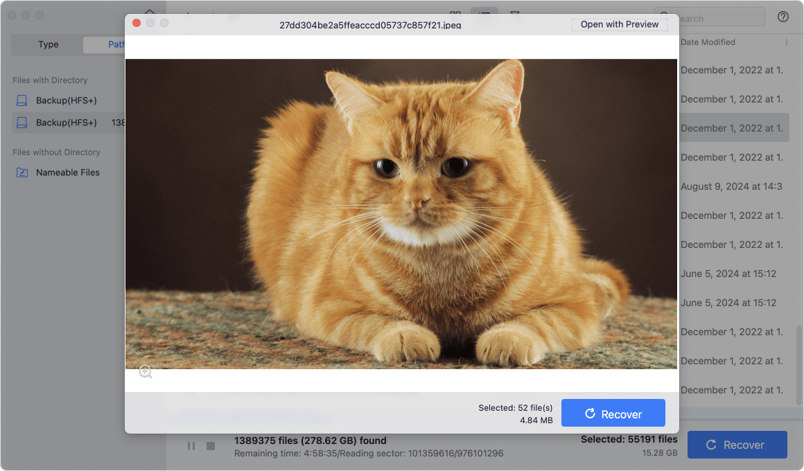 Donemax Data Recovery for Mac